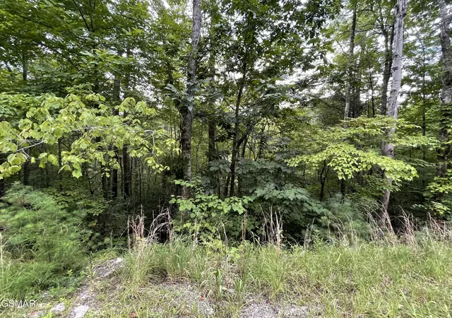 5th image of 6 Stepping Stone Dr, Sevierville, TN 37862 | MLS# 3510297