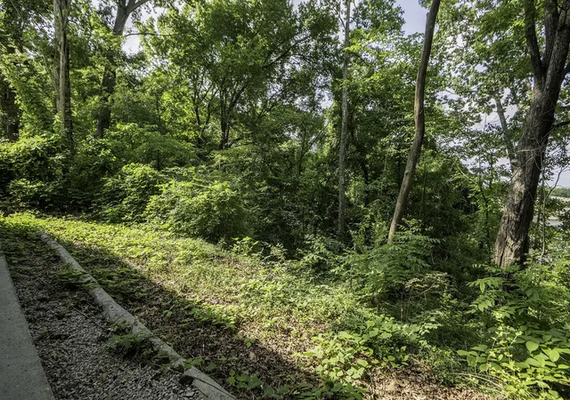 21st image of 27 W 51st Street, Chattanooga, TN 37410 | MLS# 3510306
