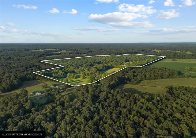 3rd image of 0 Cedar Grove Rd, Big Sandy, TN 38221 | MLS# 3510390