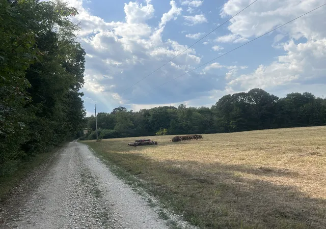 37th image of 0 Cedar Grove Rd, Big Sandy, TN 38221 | MLS# 3510390