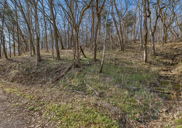 2nd image of 0 Dyer Branch Road, Gordonsville, TN 38563 | MLS# 3511057