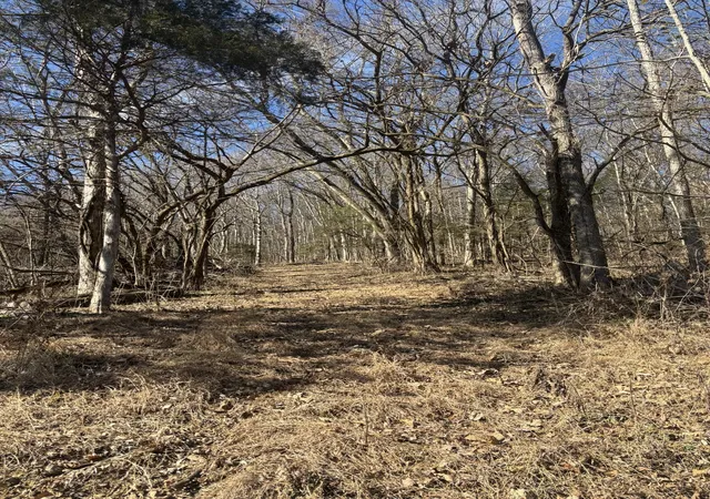 3rd image of 0 Dyer Branch Road, Gordonsville, TN 38563 | MLS# 3511057