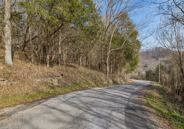 4th image of 0 Dyer Branch Road, Gordonsville, TN 38563 | MLS# 3511057