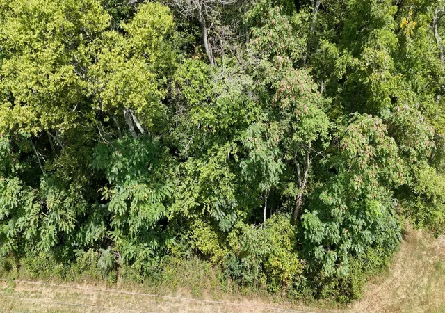 3rd image of 0 Roy Dodson Rd, Columbia, TN 38401 | MLS# 3510876
