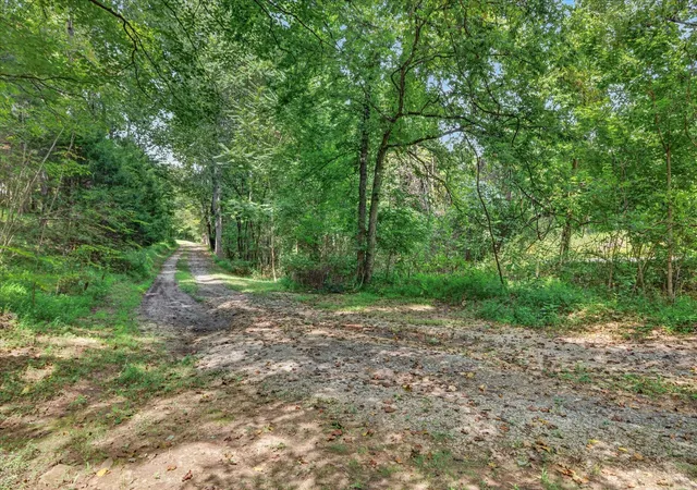 35th image of 4036 Vernon Creek Rd, Cunningham, TN 37052 | MLS# 3512388