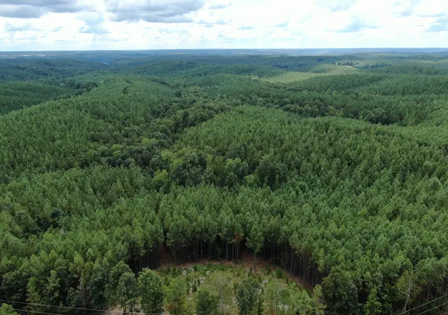 Photo 2 of Land for sale at 586 Seiber Ridge Rd, Hohenwald, TN 38462 | MLS# 3512670 | Listing updated on 2026-09-18