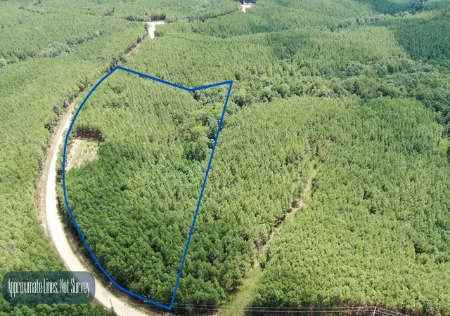 2nd image of 586 Seiber Ridge Rd, Hohenwald, TN 38462 | MLS# 3512670