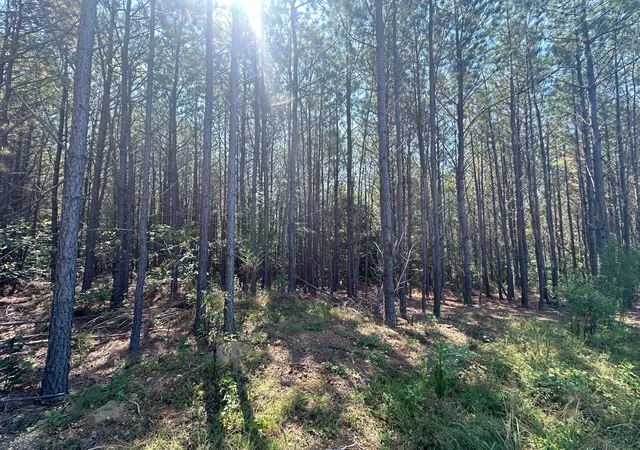 Photo 4 of Land for sale at 586 Seiber Ridge Rd, Hohenwald, TN 38462 | MLS# 3512670 | Listing updated on 2026-09-18