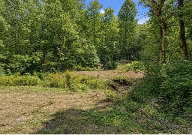 Photo 1 of Land for sale at 465 Halls Holw Rd, Smithville, TN 37166 | MLS# 3510919 | Listing updated on 2026-08-21