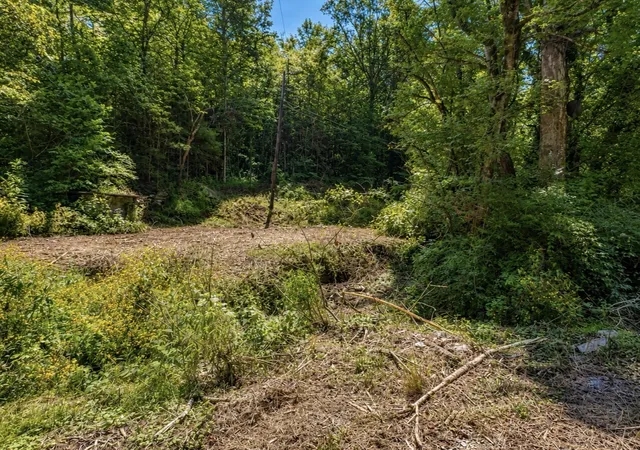 Photo 2 of Land for sale at 465 Halls Holw Rd, Smithville, TN 37166 | MLS# 3510919 | Listing updated on 2026-08-21