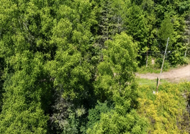 Photo 3 of Land for sale at 465 Halls Holw Rd, Smithville, TN 37166 | MLS# 3510919 | Listing updated on 2026-08-21