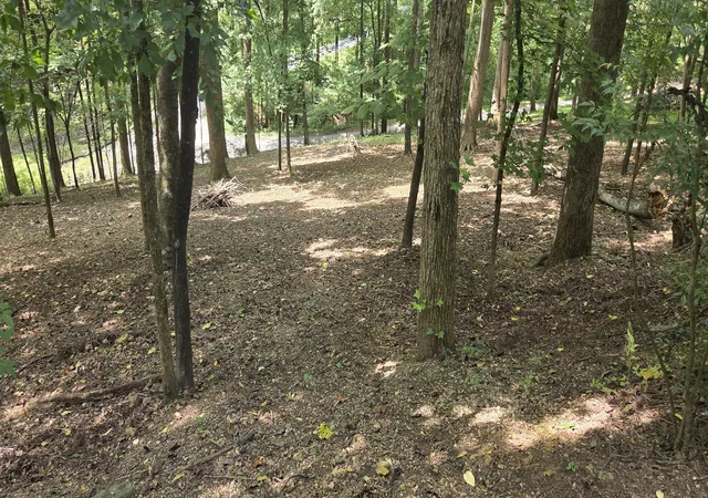 1st image of 30 Floating Mill Village, Silver Point, TN 38582 | MLS# 3510614