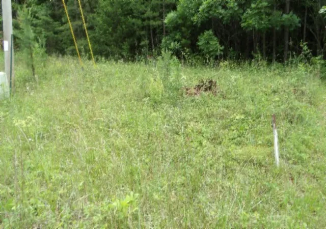 1st image of 0 Parkstown Ext Rd, Wilder, TN 38589 | MLS# 3510570