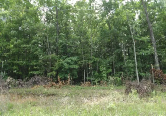2nd image of 0 Parkstown Ext Rd, Wilder, TN 38589 | MLS# 3510570