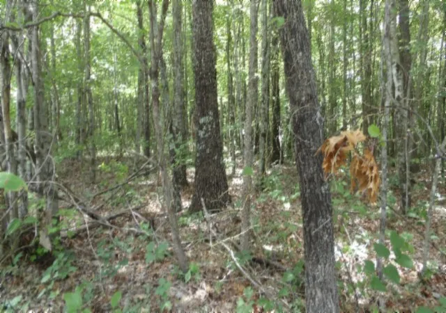 3rd image of 0 Parkstown Ext Rd, Wilder, TN 38589 | MLS# 3510570
