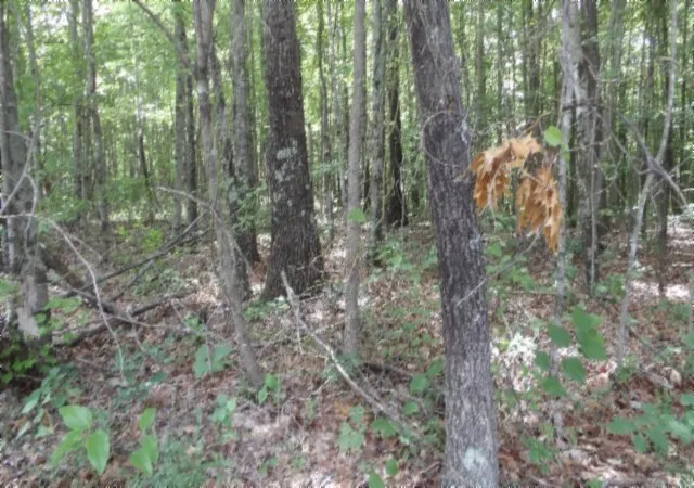 4th image of 0 Parkstown Ext Rd, Wilder, TN 38589 | MLS# 3510570