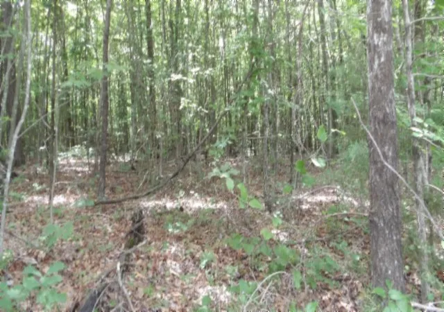 5th image of 0 Parkstown Ext Rd, Wilder, TN 38589 | MLS# 3510570