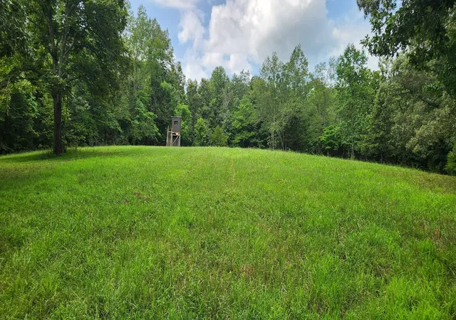 Photo 1 of Land for sale at 0 E Haleys Crk Rd, Centerville, TN 37033 | MLS# 3603191 | Listing updated on 2026-09-30