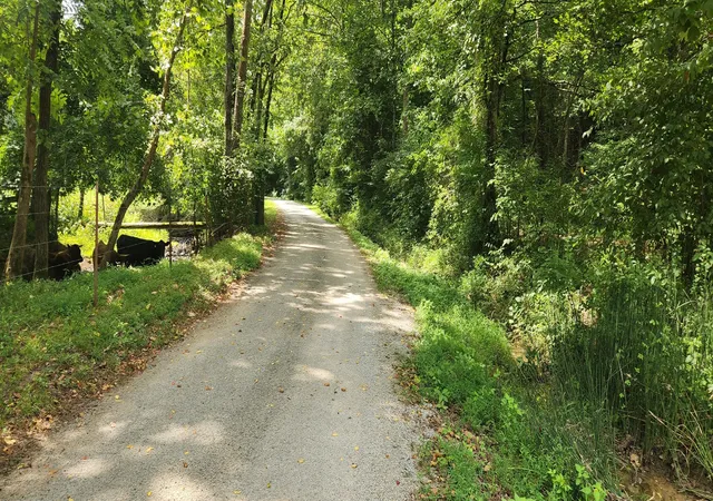 Photo 2 of Land for sale at 0 E Haleys Crk Rd, Centerville, TN 37033 | MLS# 3603191 | Listing updated on 2026-09-30