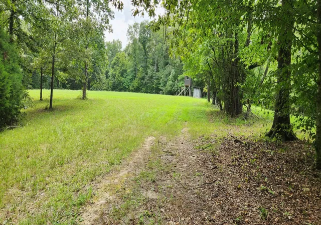 Photo 3 of Land for sale at 0 E Haleys Crk Rd, Centerville, TN 37033 | MLS# 3603191 | Listing updated on 2026-09-30