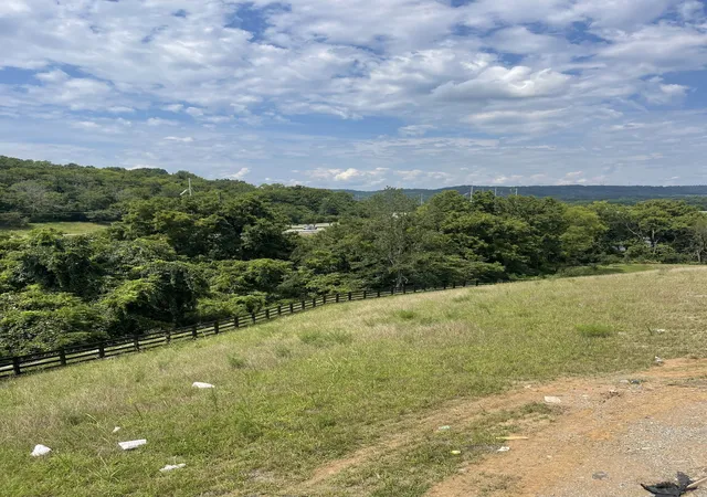 3rd image of 213 Berry Hunter Lane, Franklin, TN 37067 | MLS# 3513164