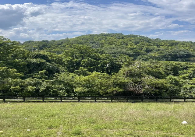 4th image of 213 Berry Hunter Lane, Franklin, TN 37067 | MLS# 3513164