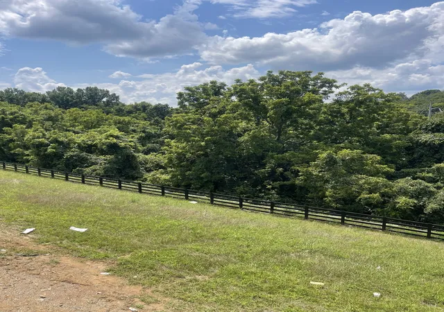 5th image of 213 Berry Hunter Lane, Franklin, TN 37067 | MLS# 3513164