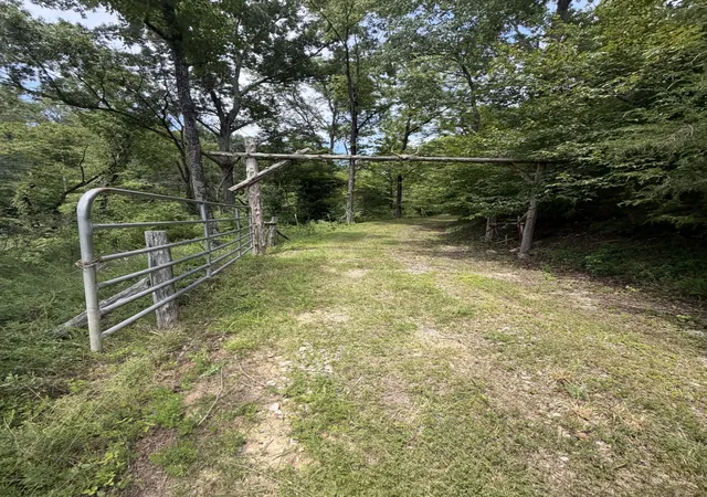 3rd image of 0 Honeysuckle Lane, Ashland City, TN 37015 | MLS# 3511209