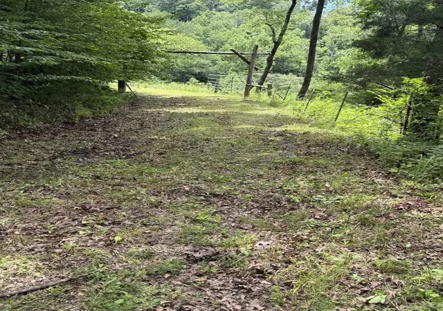 5th image of 0 Honeysuckle Lane, Ashland City, TN 37015 | MLS# 3511209