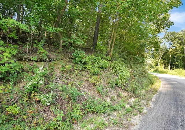Photo 3 of Land for sale at 4 Cox Holw Rd, Dover, TN 37058 | MLS# 3513280 | Listing updated on 2026-10-07