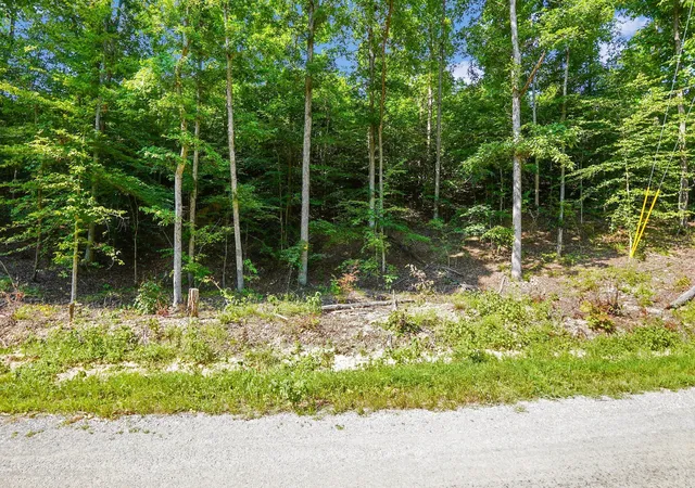 Photo 4 of Land for sale at 4 Cox Holw Rd, Dover, TN 37058 | MLS# 3513280 | Listing updated on 2026-10-29