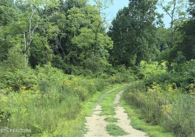 14th image of 14030 Skull Creek Rd, Robbins, TN 37852 | MLS# 3510766