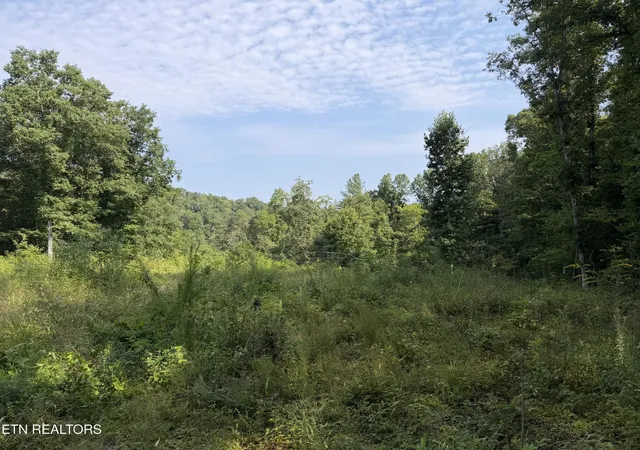 2nd image of 14030 Skull Creek Rd, Robbins, TN 37852 | MLS# 3510766