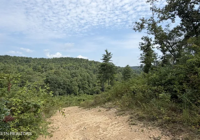 3rd image of 14030 Skull Creek Rd, Robbins, TN 37852 | MLS# 3510766