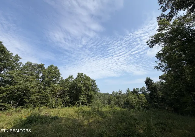 4th image of 14030 Skull Creek Rd, Robbins, TN 37852 | MLS# 3510766