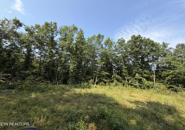 5th image of 14030 Skull Creek Rd, Robbins, TN 37852 | MLS# 3510766