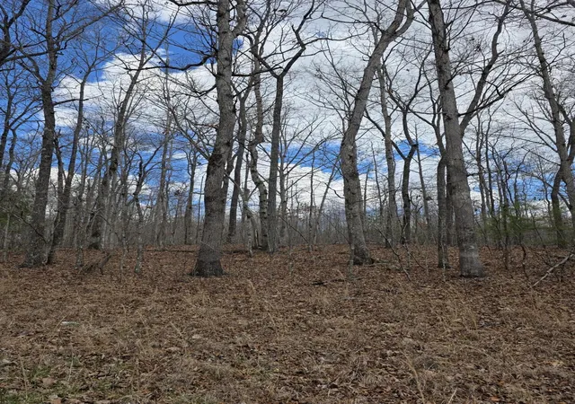 Photo 1 of Land for sale at 0 Diane Cir, Crossville, TN 38572 | MLS# 3599479 | Listing updated on 2026-09-25