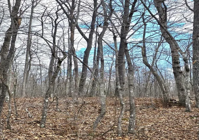 Photo 2 of Land for sale at 0 Diane Cir, Crossville, TN 38572 | MLS# 3599479 | Listing updated on 2026-09-25
