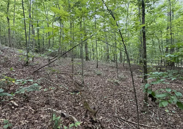 1st image of 0 Deer Creek Rd, Linden, TN 37096 | MLS# 3511100