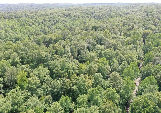 16th image of 0 Deer Creek Rd, Linden, TN 37096 | MLS# 3511100