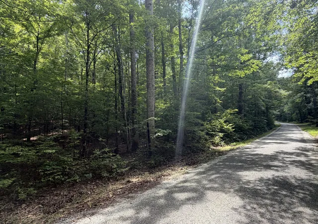 2nd image of 0 Deer Creek Rd, Linden, TN 37096 | MLS# 3511100