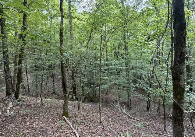 3rd image of 0 Deer Creek Rd, Linden, TN 37096 | MLS# 3511100