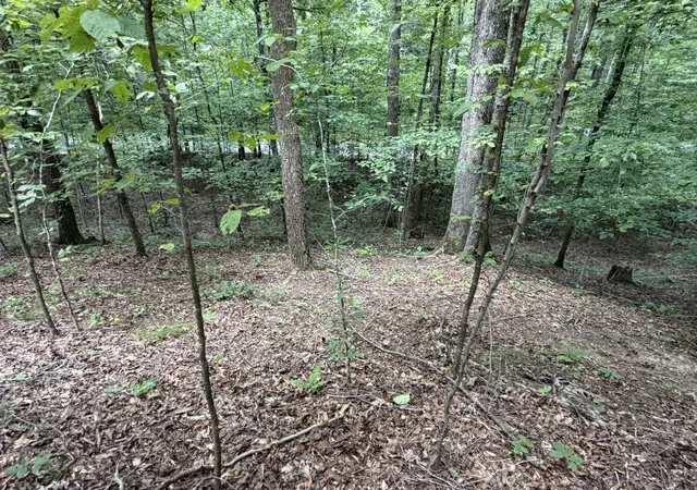 4th image of 0 Deer Creek Rd, Linden, TN 37096 | MLS# 3511100