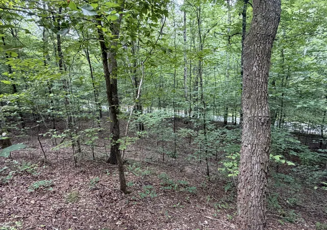 5th image of 0 Deer Creek Rd, Linden, TN 37096 | MLS# 3511100