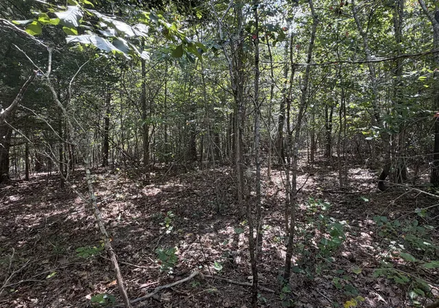 2nd image of 0 Louise Ln, Linden, TN 37096 | MLS# 3511105