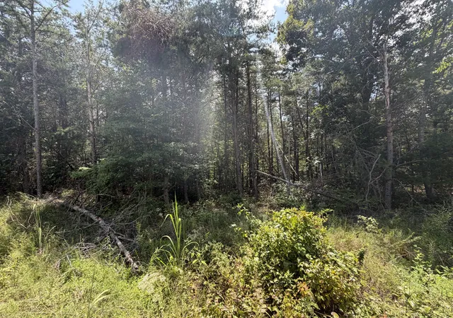 Photo 3 of Sale Pending at 0 Louise Ln, Linden, TN 37096 | MLS# 3511105 | Listing updated on 2026-09-18
