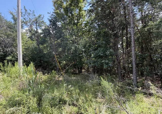 Photo 3 of Sale Pending at 0 Louise Ln, Linden, TN 37096 | MLS# 3511105 | Listing updated on 2026-09-18