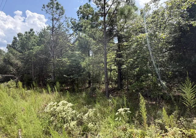Photo 4 of Sale Pending at 0 Louise Ln, Linden, TN 37096 | MLS# 3511105 | Listing updated on 2026-09-18