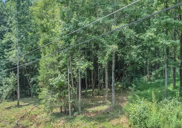 18th image of 8696 Poplar Creek Rd, Nashville, TN 37221 | MLS# 3511009