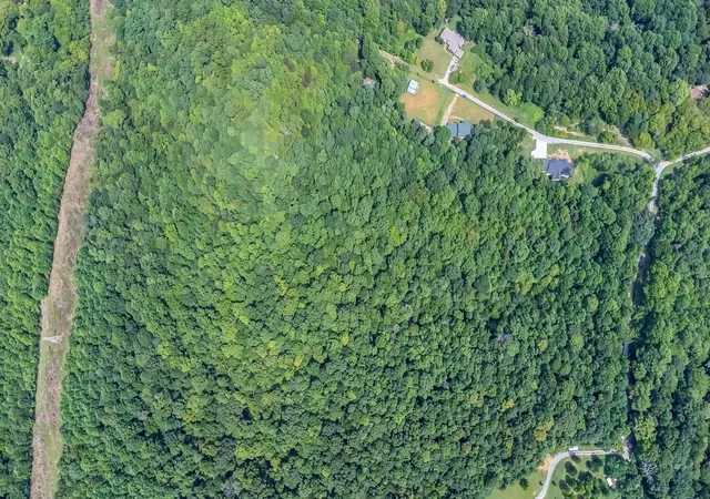 5th image of 8696 Poplar Creek Rd, Nashville, TN 37221 | MLS# 3511009